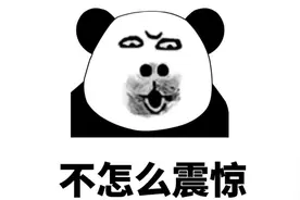 股神林园可能是穿越者图片