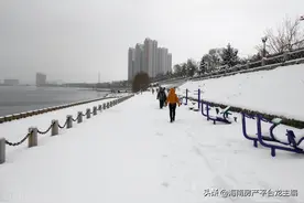 那些年，东北人在海南买房的梗图片