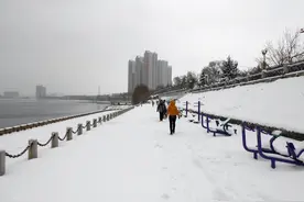 那些年，东北人在海南买房的梗图片