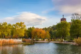 【FENG景】观秋景，听秋声，北京园博园秋天的美，一键收藏！图片