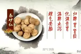 一味砂仁百样用！健脾、消食、保胎，它都行图片