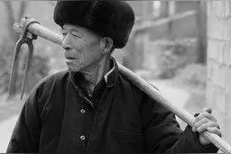 老一辈的观人术："有福之人两腿毛，无福之人毛两腿"，是什么意思图片