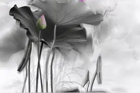 命里有时终须有：该是你的，谁也夺不走，不是你的，再争也徒劳图片