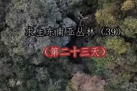 美女全裸挑战原始森林生活100天，第23天图片
