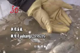 松花江禁渔期已经开始！禁渔期有多长？期间严禁这项行为图片