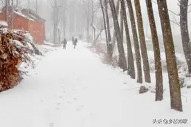 八十年代那个春节一夜落雪，守着村口等亲戚图片