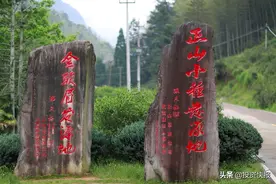 金骏眉，当之无愧的高端小种红茶，是何原因？图片
