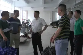延平：区长叶文平到大横调研产业发展和指导防汛备汛工作图片