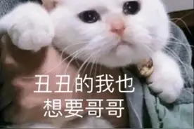 表情包：真羡慕你的皮肤 保养的可真厚图片