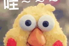 龙岩在建北部“未来城”，今后这个样！图片
