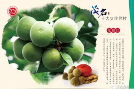 【专家解读】茂名特产化橘红为啥能列入新冠肺炎诊疗组方用药？图片