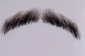 不能说的秘密 男女体毛打理指南图片