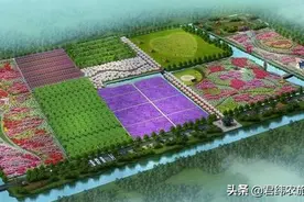 农业大棚建设资金申请报告范文图片