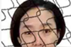 失信被执行人张扬快来偿还执行款1523300元图片