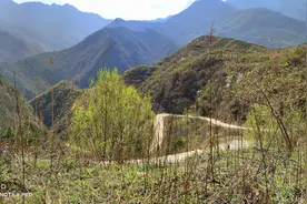 春天了，去西安蓝田县高山草甸流峪寺村爬山踏青图片