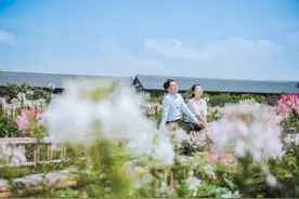 看花海，吃杨梅，在无锡感受清新美味的初夏味道……图片