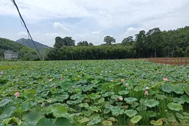 江西见闻：新娘在婚礼上临时加钱漫天要价，结果成了乡亲们的笑话图片