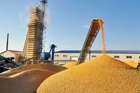 中国14亿人一年能吃多少粮食？每年得储备多少粮食？看完长知识了图片