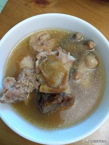 花胶怎样煲给宝宝吃 2026年花胶怎样煲给宝宝吃比较好