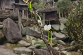 今年第三个正月十九，待我转身，爸爸就去找你！图片