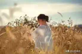 “活着！”（深度好文）图片