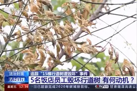 饭店门口十余棵行道树遭投毒枯死 5人被采取强制措施图片