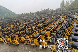 都在这里！十堰共享电单车暂时回收规范运营图片
