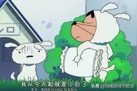 12星座女最容易栽在哪个星座男手里（上篇）图片