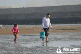 会场赶海挖蛤蜊喽！一次能挖20多斤，满满一桶提回家…图片