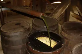 石油真是古生物形成的吗？一个油田上亿吨，古代有那么多生物吗？图片