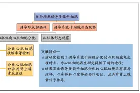 诱导多能干细胞分化的心肌细胞电生理特点图片