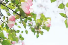 4月再见，5月你好：一切美好如期而至，活出自己想要的模样图片