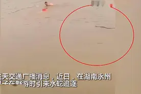 危险！湖南两男子野游被水蛇狂追 水蛇厉害吗？大部分人不是其对手图片
