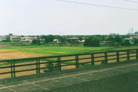 道听途说的爱情｜“是啊。真在一起过，也未必幸福图片