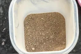 自制妈妈牌猪肝粉，初期宝宝补铁首选图片