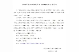 2020年度山西省正高级工程师评审通过名单图片