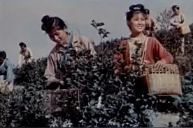 笑里藏刀 莫老爷原形毕露 信心百倍 刘三姐相约对歌 （刘三姐 第四集）图片