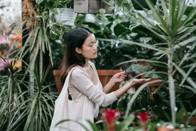 “再婚后，需要共享这三样东西，两个人的感情才能长久”图片