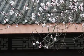 陈与义晚年一首诗，写山河破碎、故土难回，字字感人肺腑图片