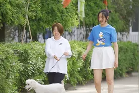 学习宠物美容需要多长时间图片