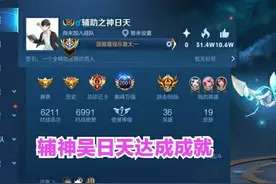辅助位置全国标玩家诞生，号主从不充钱，国标数量比皮肤还多图片