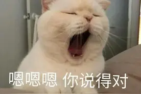 抖音表情包：哼 老娘就不睡，台阶呢能不能给个台阶，七夕快乐图片