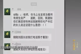 家长群里耍官威，“严夫人”坑了“严书记”？更多细节曝光图片