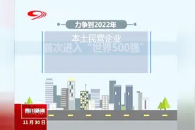 成都：2022年，本土民企首入“世界500强”视频封面