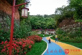 满墙爬藤玫瑰，开得红艳艳！昆明又一高颜值打卡地来啦！图片