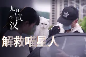 武汉留守猫咪饿到啃火锅底料，大哥上门喂猫上千次，却被污蔑偷猫图片