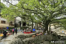 高铁2小时直达！深圳周边这个城市人少景美，赶紧安排上图片