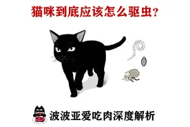认真研究了猫的寄生虫和驱虫药后，我总结出性价比最高的驱虫方法图片