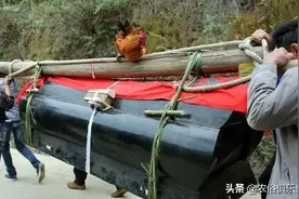农村办白事出殡为何要杀只公鸡？3个原因，与传统观念和私心有关图片