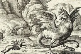 鸡蛇：欧洲历史上的神奇怪物，半蛇半鸡的“蛇中之王”图片